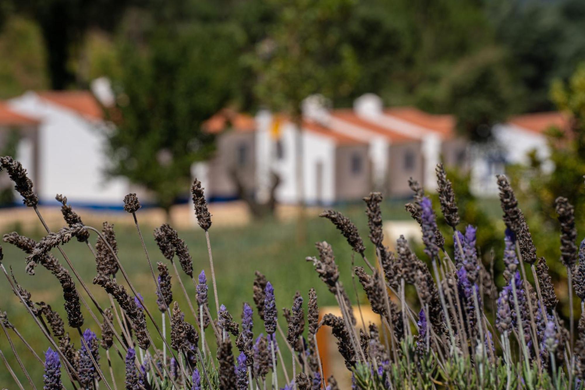 Vale Da Cassiopeia Konuk evi Cercal do Alentejo Dış mekan fotoğraf